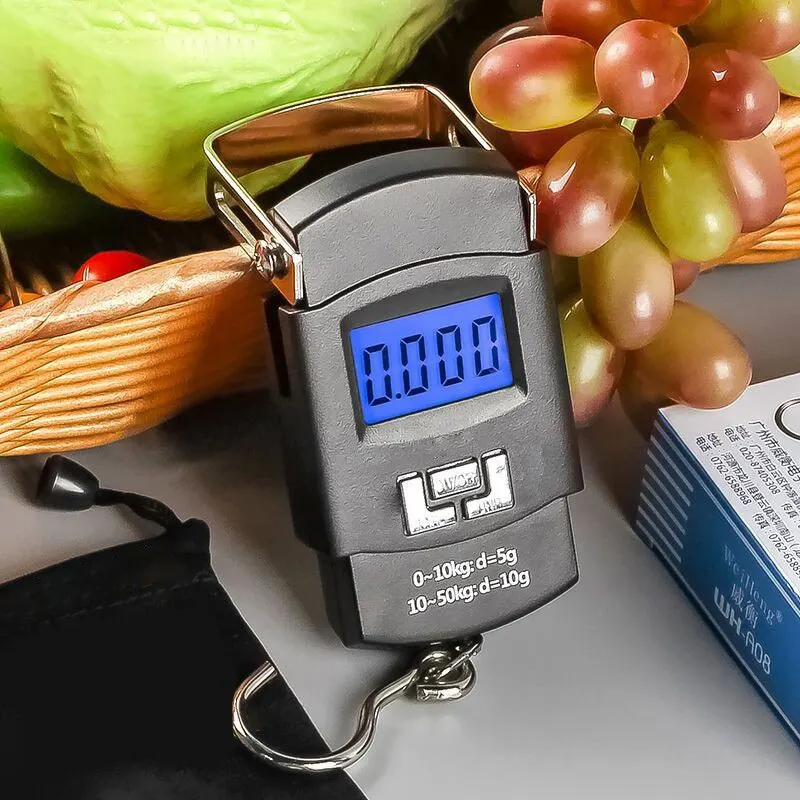 LCD hanging scale